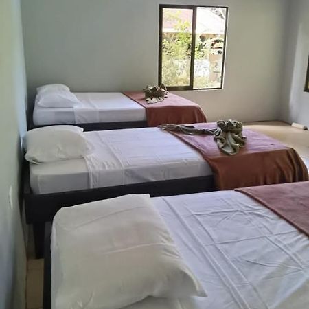 Cabinas Corcovado Green Parrot, Los Planes Drake Drake Bay Luaran gambar