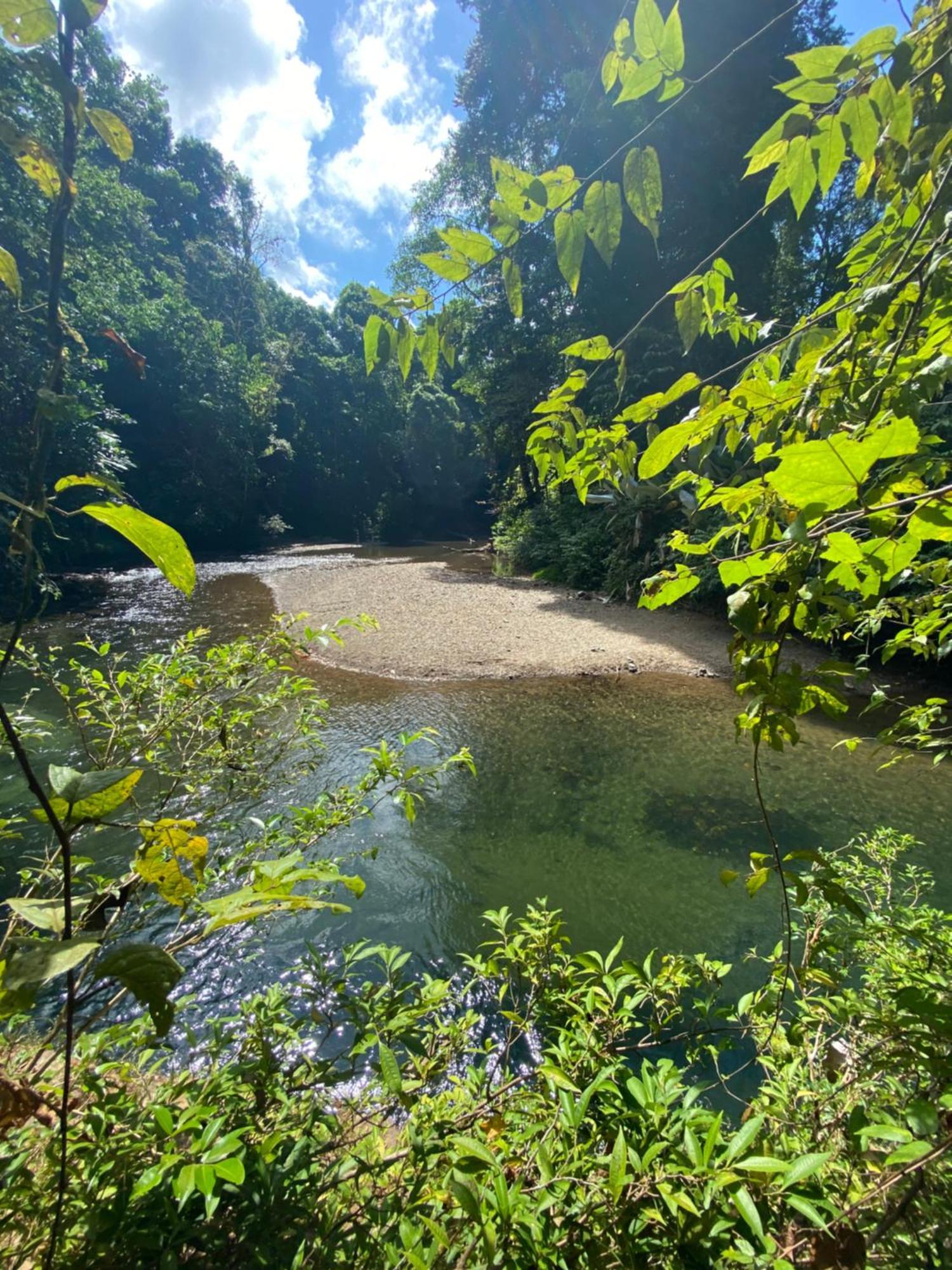 Cabinas Corcovado Green Parrot, Los Planes Drake Drake Bay Luaran gambar