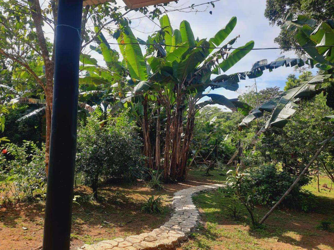 Cabinas Corcovado Green Parrot, Los Planes Drake Drake Bay Luaran gambar